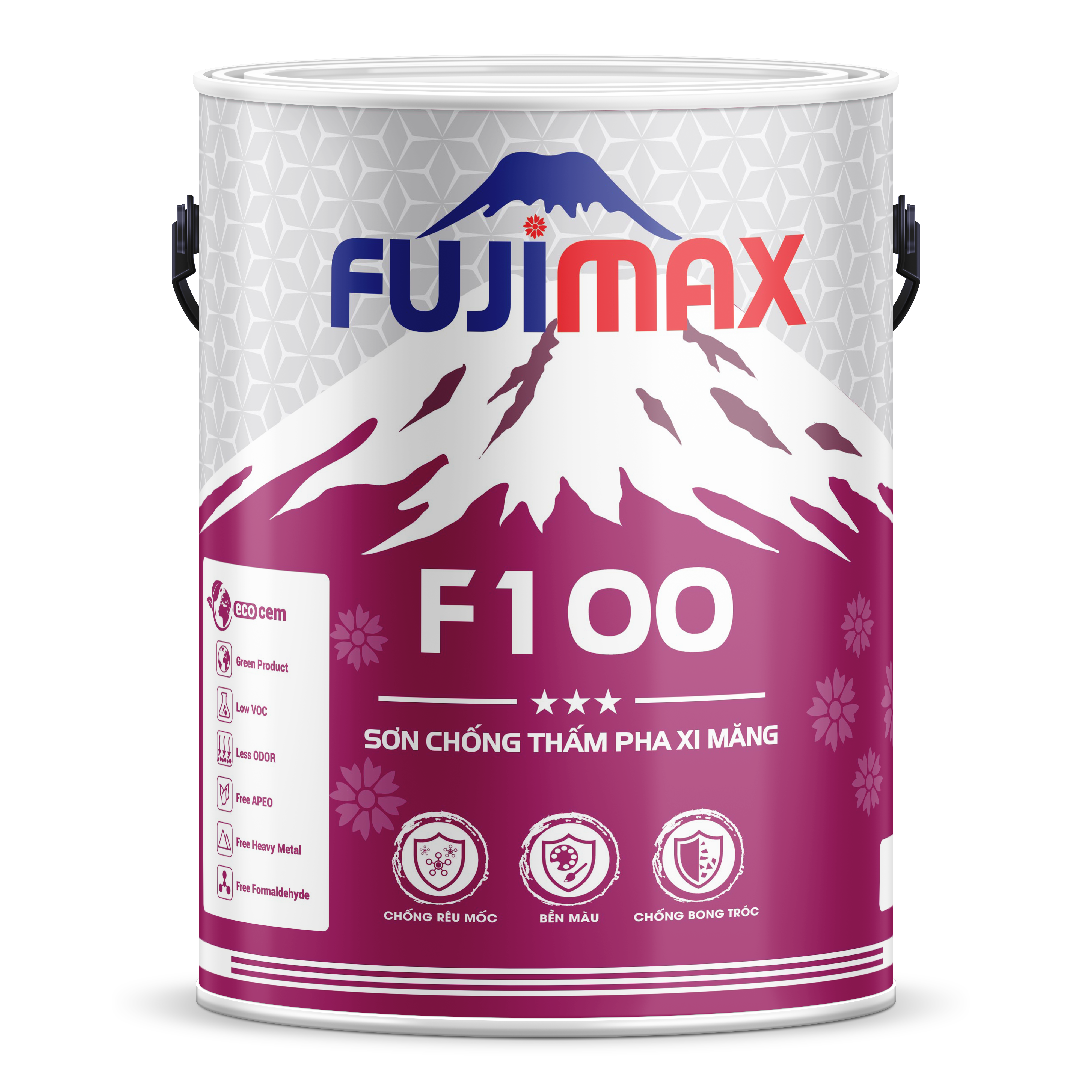 F100 Lon 5L